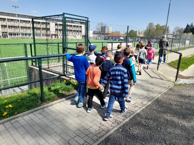 skduben 7